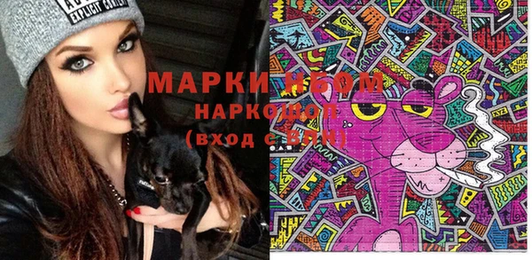 индика Мамадыш