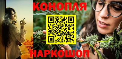 спайс Малгобек