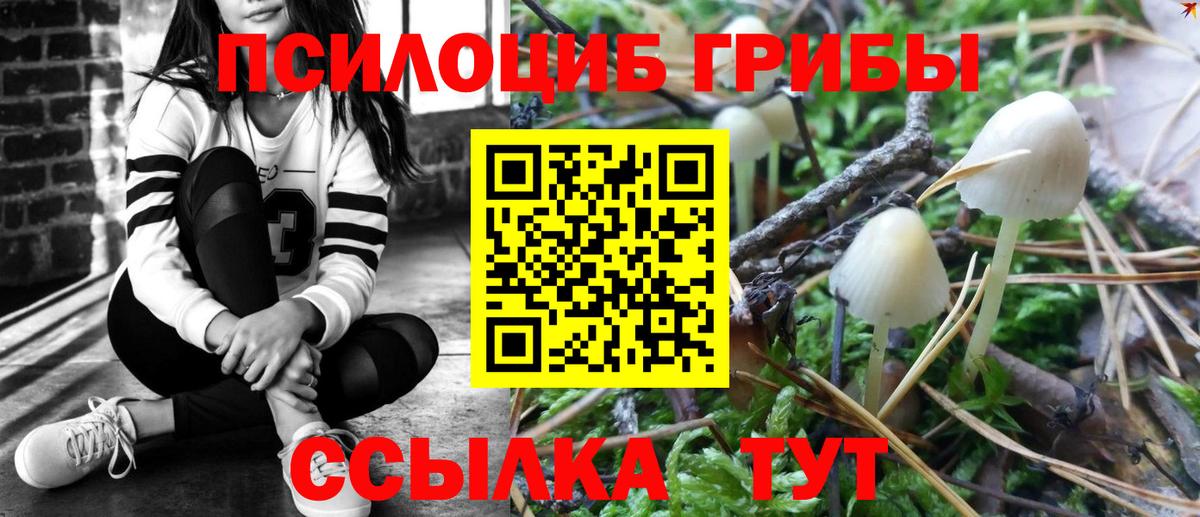 Сарапул  Галлюциногенные грибы MAGIC MUSHROOMS  Вход с VPN 